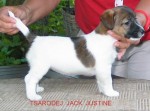 tsarodej_jack_justine1