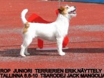 tsarodej_jack_mangolia4