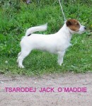 tsarodej_jack_o_maddie4
