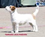 tsarodej_jack_pandora3