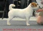 brösings_the_dot_com13