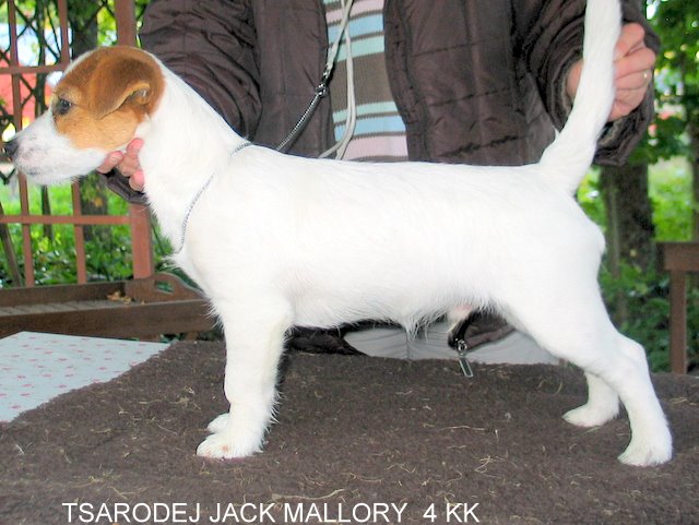 tsarodej_jack_mallory3 tsarodej_jack_mallory3
