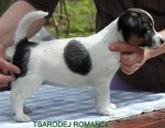 IMG_1825 IMG_1825