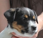 IMG_1835 IMG_1835