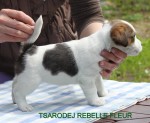 IMG_1840 IMG_1840
