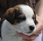 IMG_1841 IMG_1841