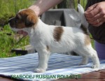 IMG_1845 IMG_1845