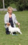 IMG_4353