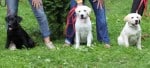 IMG_4481 IMG_4481