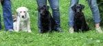 IMG_4482 IMG_4482